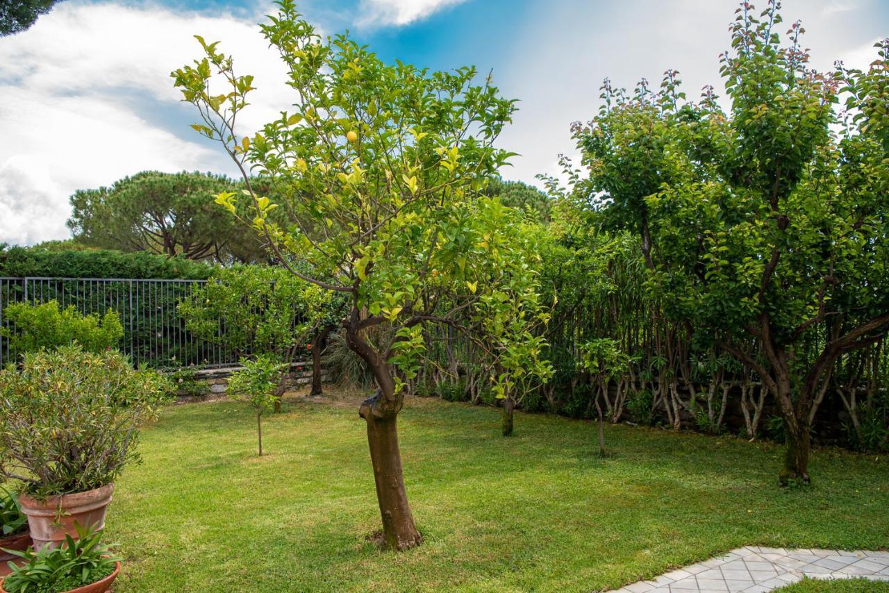 Magnificent Villa Sanremo Exteriér fotografie